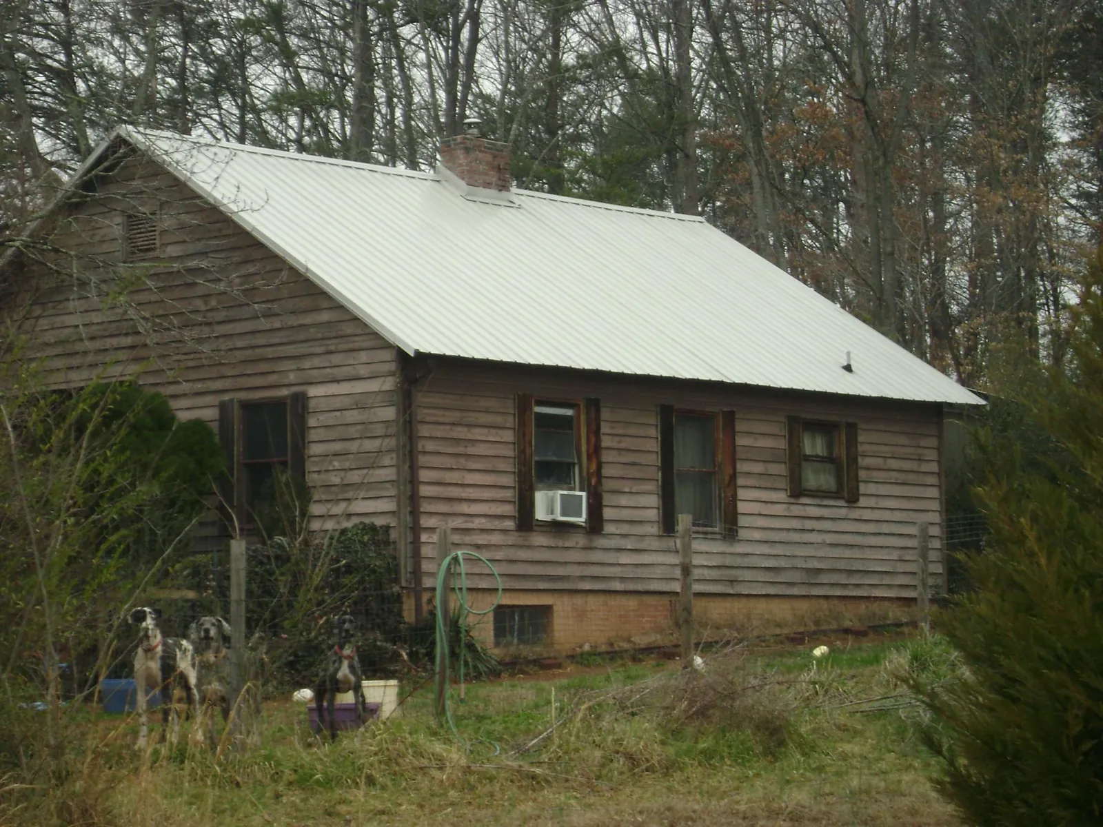 White metal roof on an old wood sided farmhouse, from a Asphalt Shingle Roof Repair job in Guys